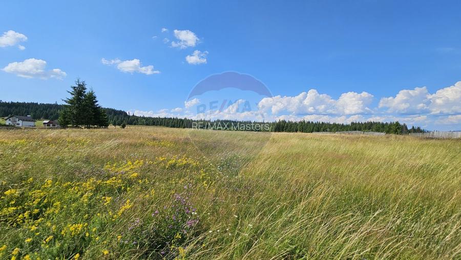 Teren parțial intravilan 30,930 mp Poiana Stampei-DN E58, Suceava - 17