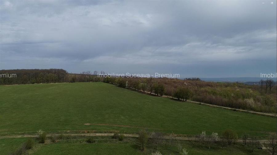 Teren intravilan de vânzare în Mitocu Dragomirnei | 5.800 mp | 43 m de - 10