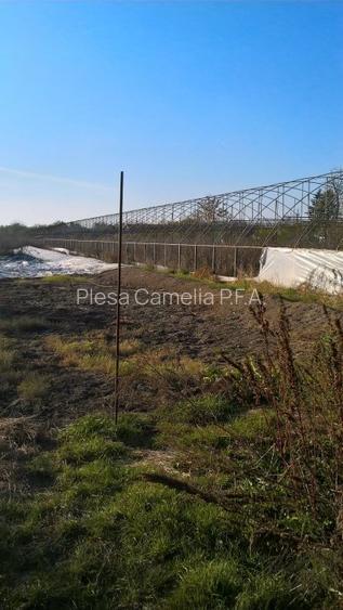 BUTIMANU - DN1A, CASA + TEREN 5000MP, DESCHIDERE 28 MP, - 10