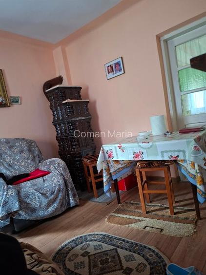Casa plus anexe de vanzare - 3