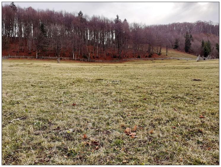 Teren Cu Priveliste Panoramica Si Acces Din Drumul Principal - 3