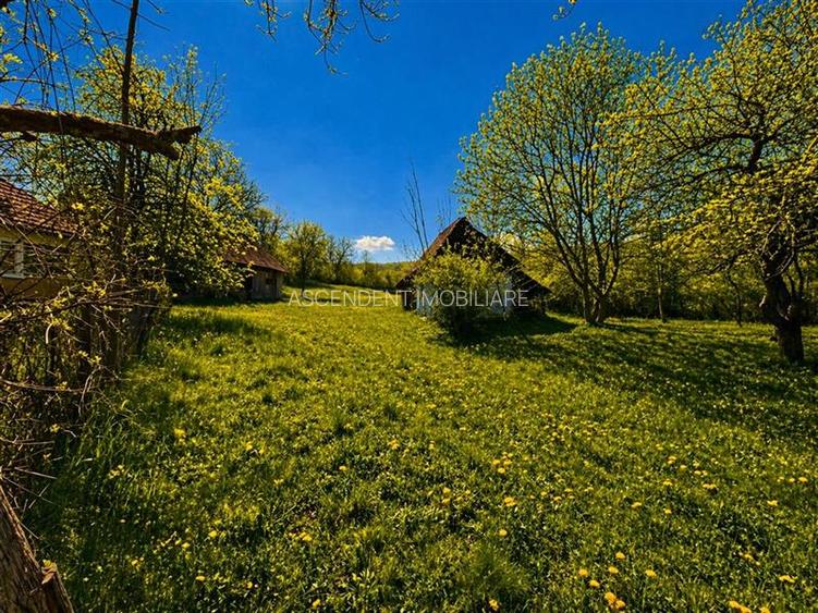 Domeniu de 3.400 mp cu traditionala casa, Suveica, Acatari Mures - 4