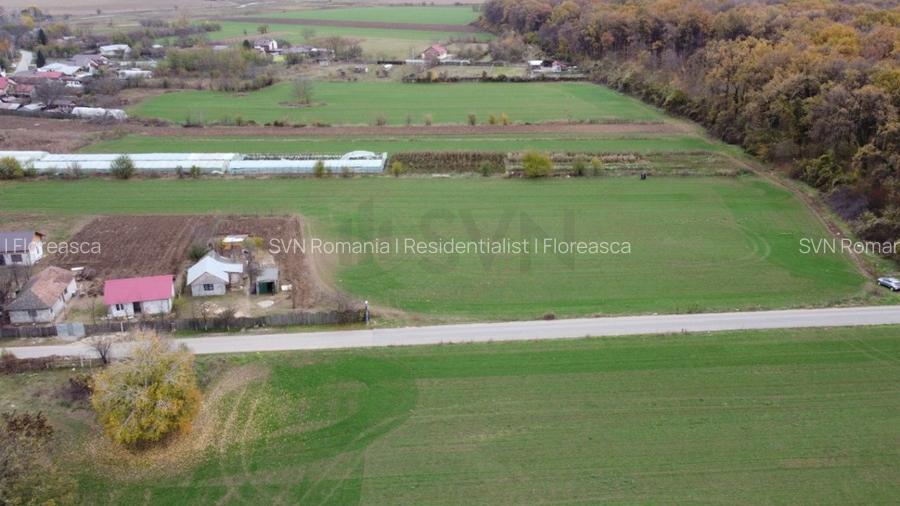 REL4001127 Teren situat langa Padure l Balta Neagra - 4