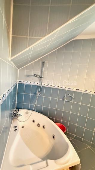 BAIA SPRIE - spre Cavnic Vila D+P+E 168mp + anexa cu teren 1526mp! - 18