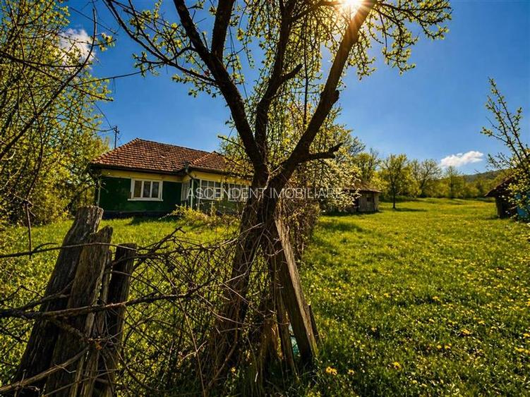 Domeniu de 3.400 mp cu traditionala casa, Suveica, Acatari Mures - 5
