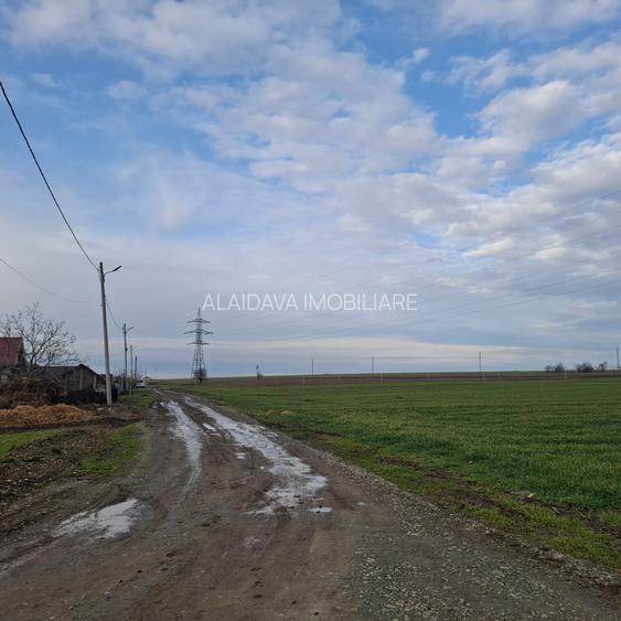 Corbu-3125mp in vatra satului,12euro/mp - 5