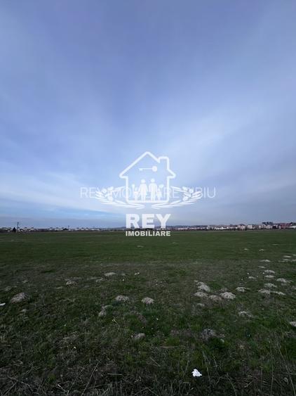 Teren Arabil Turnișor - Spre ferma de pui - 4