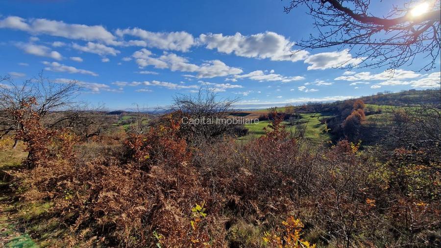 Teren de vânzare in Groși, Maramureș, 55 ari  - 6