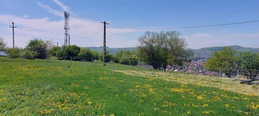 Teren Campina varful Muscel - 4