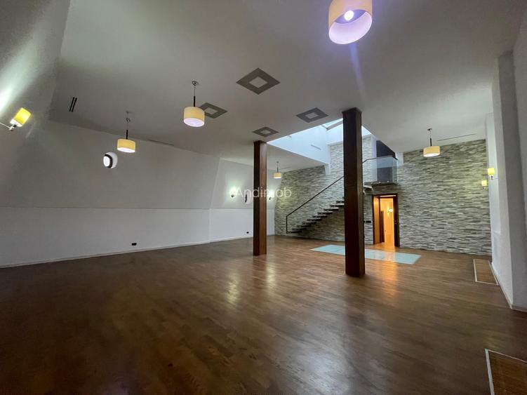 Vila - Gradina Icoanei - De Inchiriat - 6