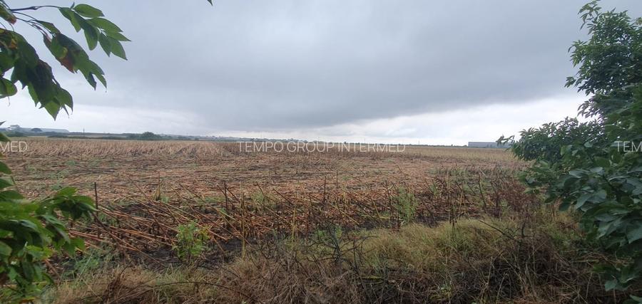 Dudestii Noi 10 ha comasate la 11 km de Timisoara - Ideal investitie ! - 8