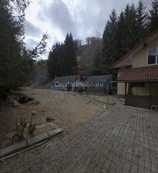 Cabana la munte Rucar / Satic - 4