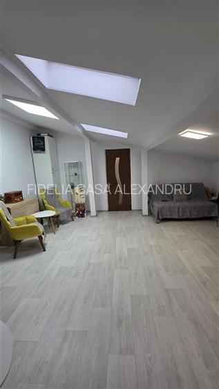 Spatiu 2 camere de inchiriat BUCSINESCU - 6