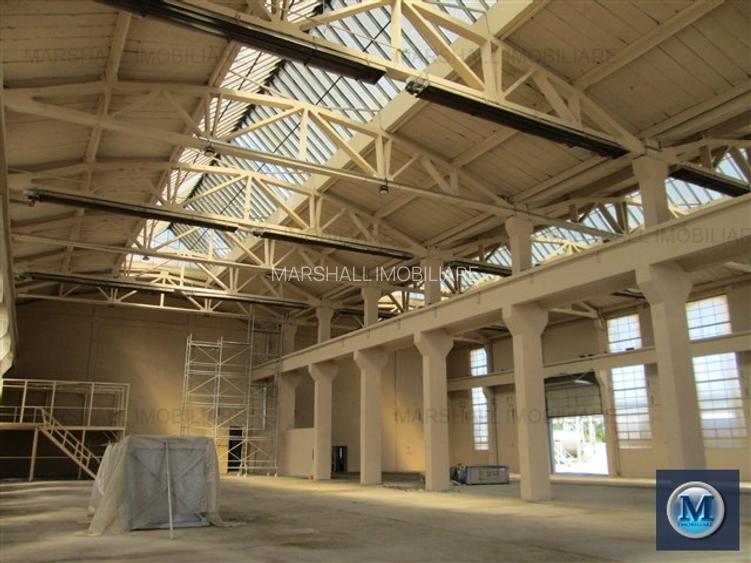 Spatiu industrial de inchiriat in Boldesti-Scaeni, zona Sud, 1948 mp #10186 - 8