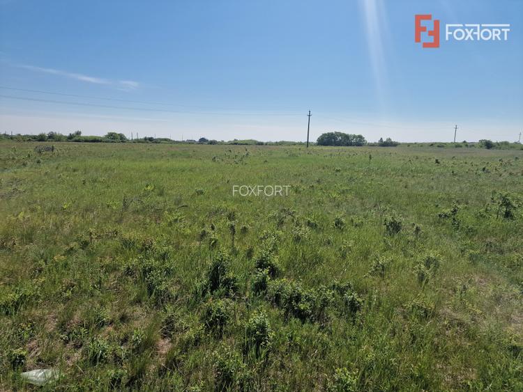 Teren de 5000 mp de vanzare in Mosnita Veche - 2