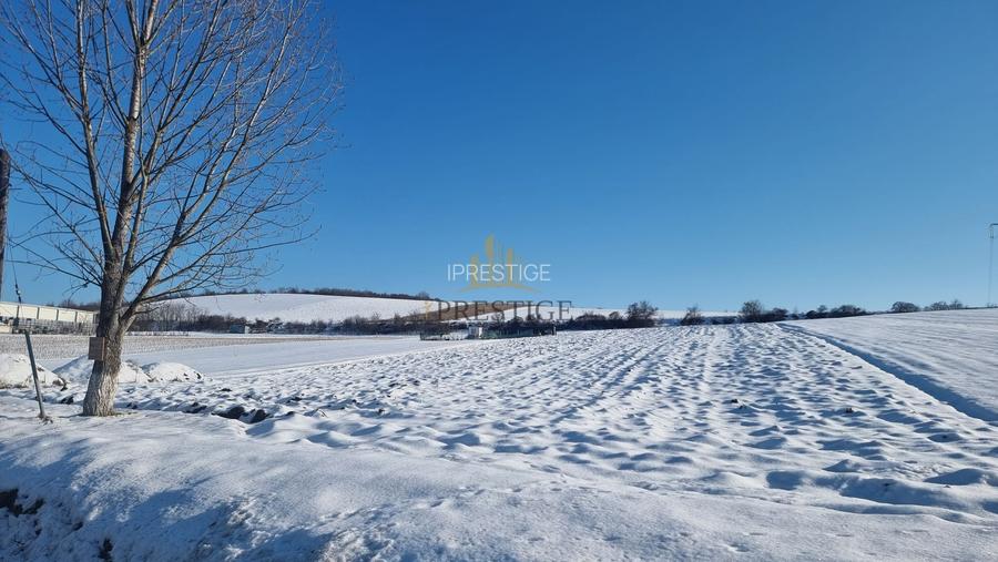 FĂRĂ COMISION | TEREN 6695 MP ÎN ȘURA MARE - 3