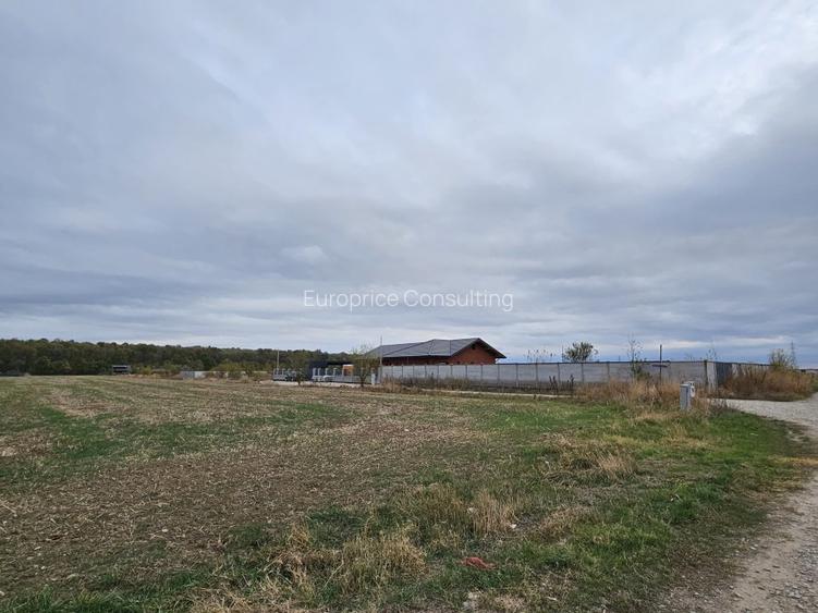 SNAGOV  TANCABESTI- STRADA MIHAI EMINESCU - 8