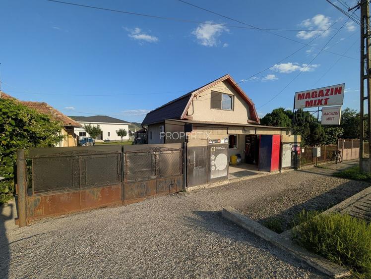 Proprietate rezidențial-comercială, 1.400 mp teren, Fundătura Cluj - 15