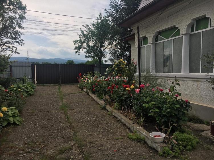 Casa de vanzare la tara - 2