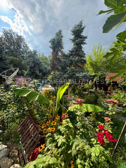 Vanzare vila lacul Baneasa - 14