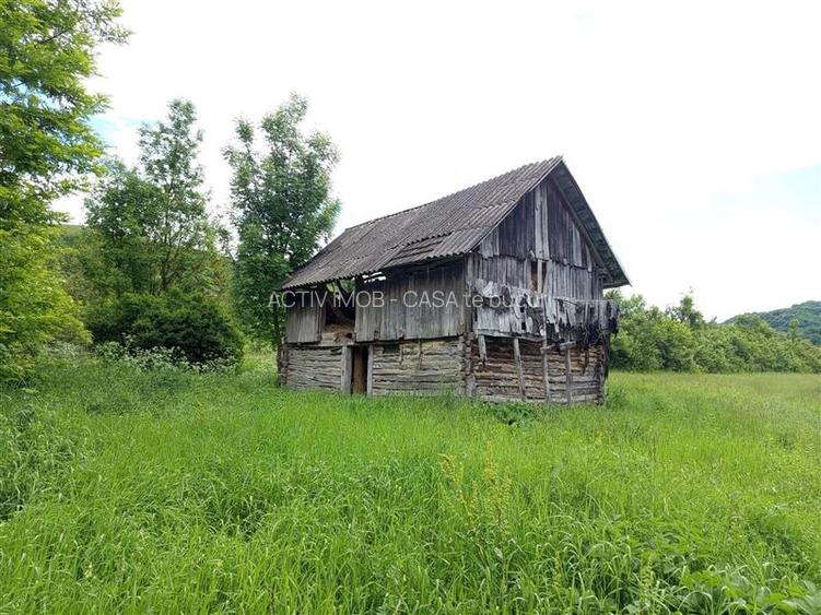 Borlovenii Noi, Teren Drept, 16000mp, la Limita Localitatii - 14
