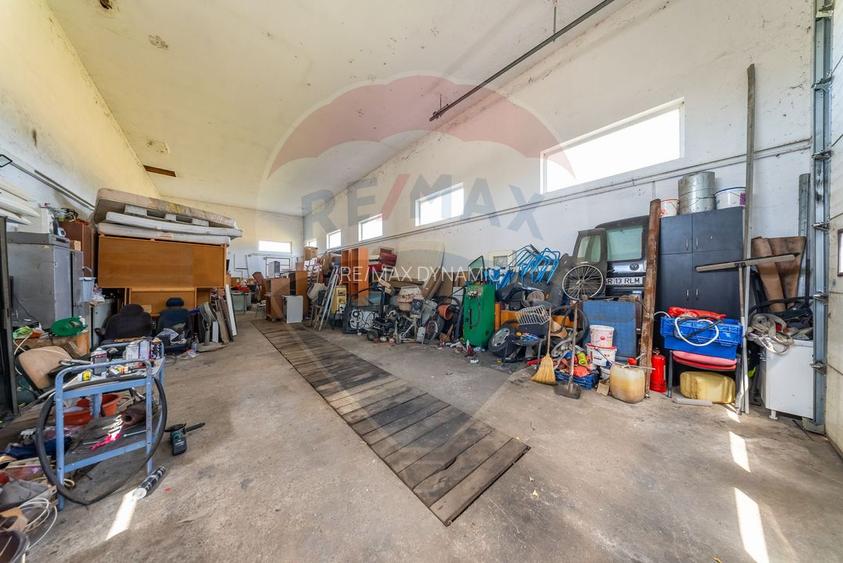 Spațiu industrial cu potential de vanzare in Paulis,Arad - 6