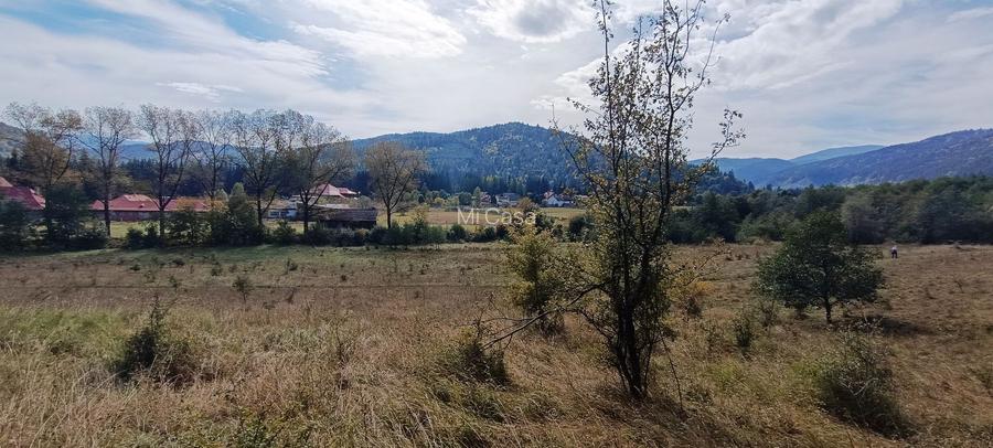 teren in zona Bradet-Sacele - 5