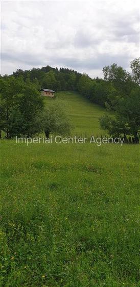 TEREN DE VANZARE 500O MP PUNCT CHETRIS CERDAC SLANIC MOLDOVA - 2