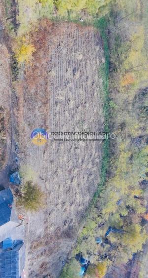 Teren de vânzare 11.766 mp – Costișa, județul Neamț - 3