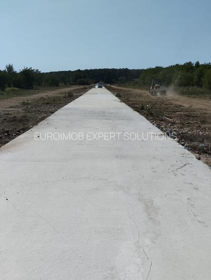 Loturi de casa Balotesi-Saftica langa Dinamo - 4