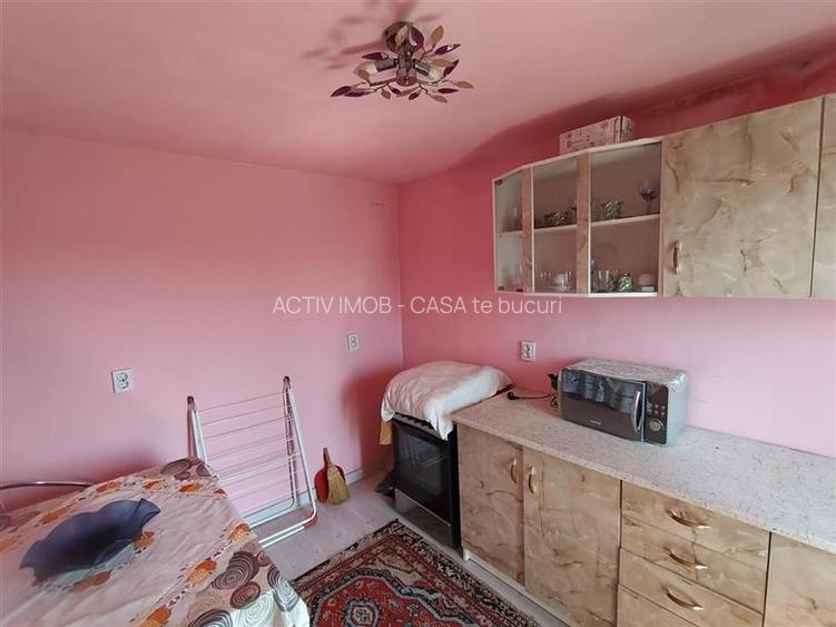 Caransebes, Casa cu Teren de 585 Mp, Zona Sesu Rosu - 14