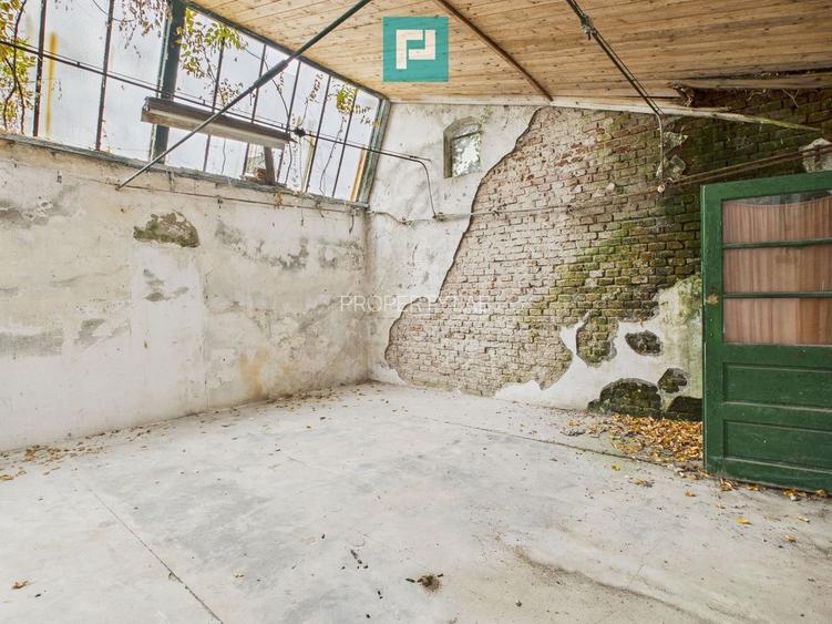 Spațiu de investiții 500 mp în Periam - 3