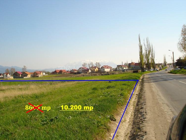 Teren cu potential - 2