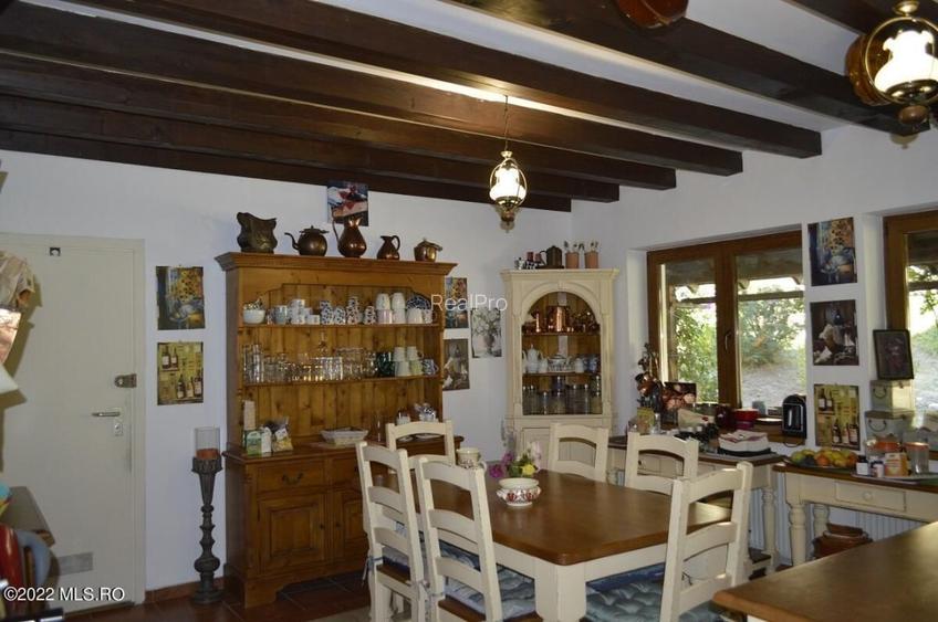 Topoloveni - Conacul Ion Mihalache, Domeniu pe 5 Hectare! - 22