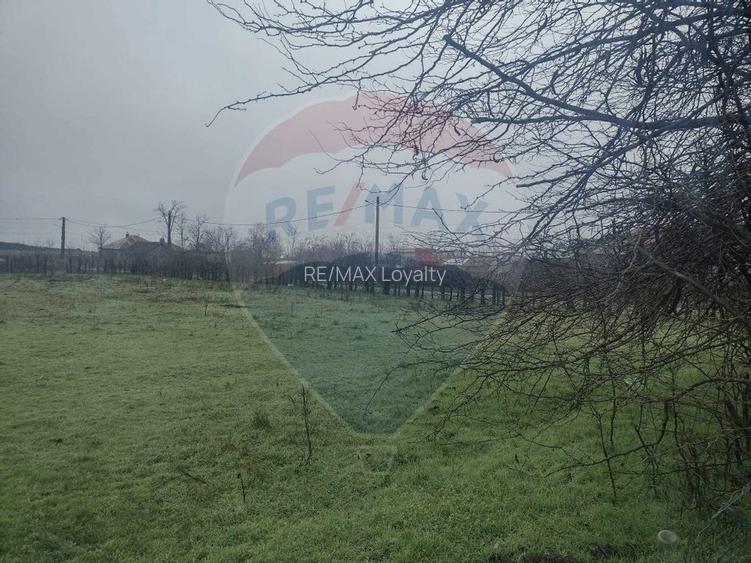 De vanzare teren intravilan Ialomita - 6