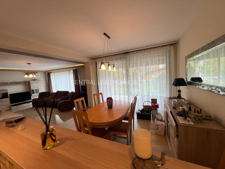 Dimitrie Leonida Metrou - 24