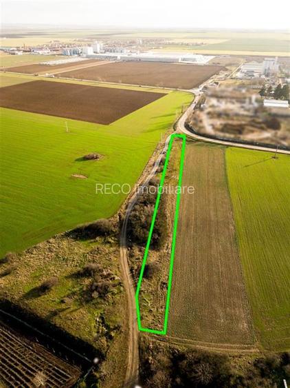 RECO Teren extravilan 2500mp in Palota - 6