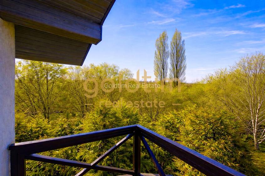 SUPERB/ VILA INDIVIDUALA/ GARAJ/ GRADINA MATURA - 31