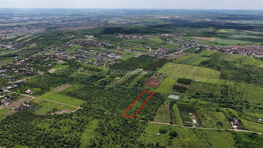 TEREN INTRAVILAN in Paleu - 4