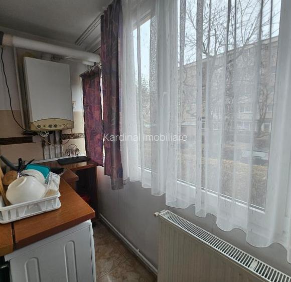 Exclusiv apartament 2 camere decomandat  Judetean -Alexandru cel Bun - 7