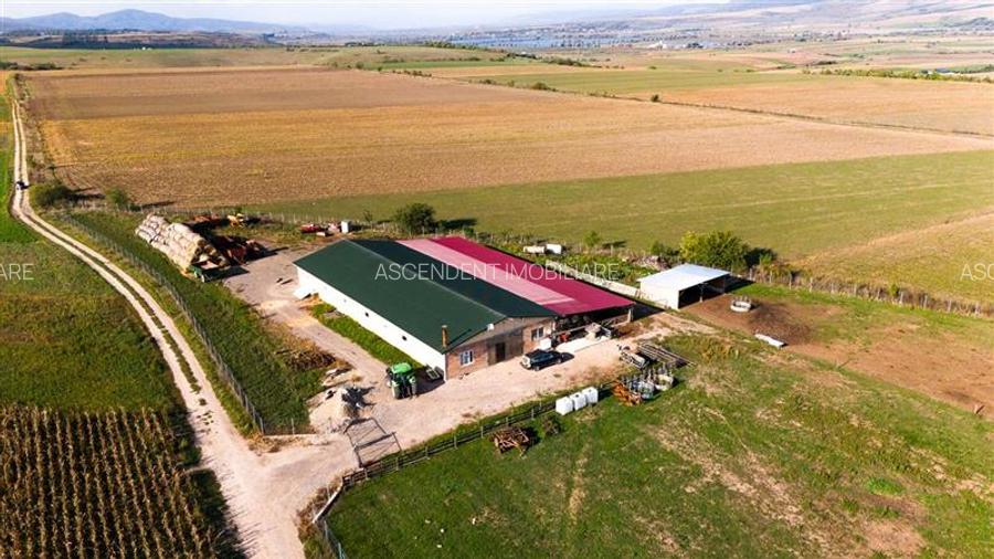 FILM! 18.000 mp, extravilan, agricol+ constructii:ferma,investitii agricole, Rot - 10