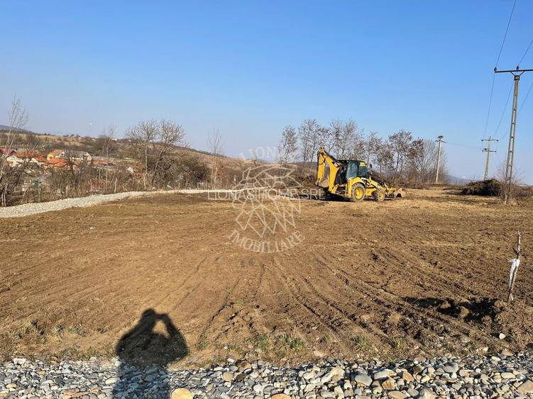 Parcele de 1000 mp-panoramic-ideal investitie-Sigmir - 4