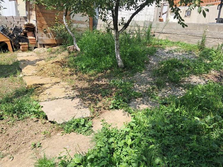 Casa singur in curte in Gusterita - 8