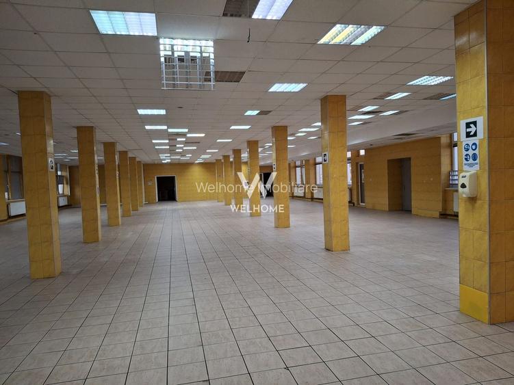 Spatii de inchiriat pentru productie/ industrial, Sibiu - 3