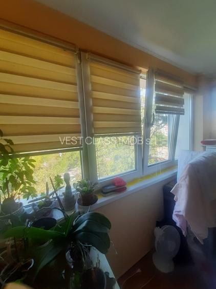 Drumul Taberei Favorit - 8