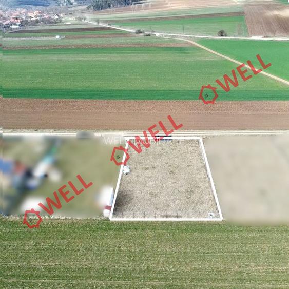 Teren intravilan de vânzare în Angheluș! - 2