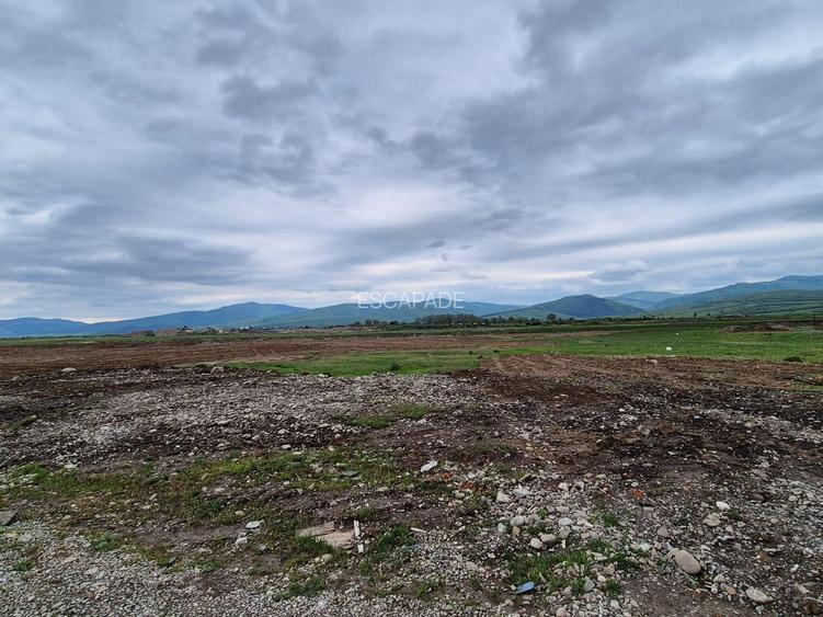 Teren intravilan 1450 mp – Carpiniș , Ideal pentru casă de locuit - 11