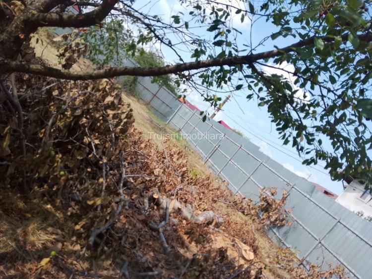 Teren intravilan – 939 mp, Tagsoru Nou - 2