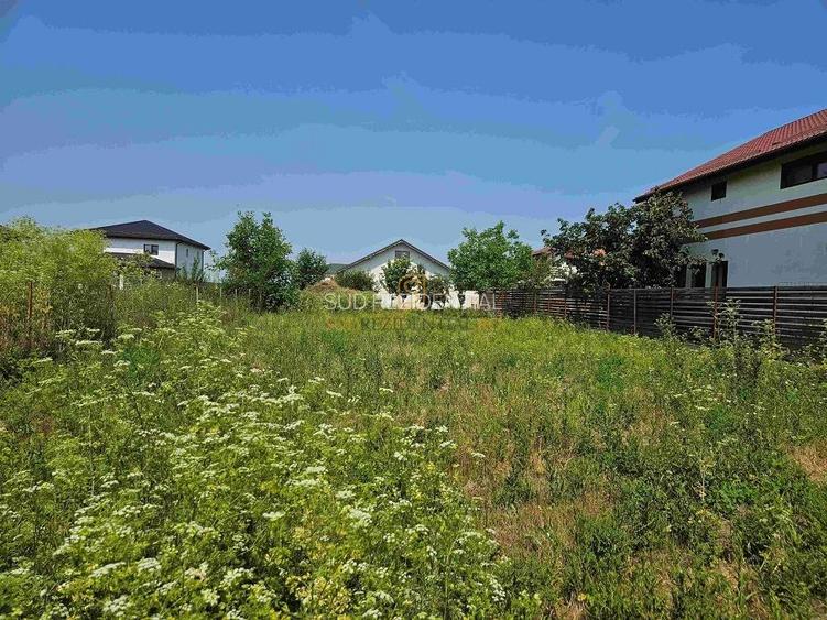 Teren de vanzare, 561 mp, strada Cetatea Alba, Mamina, Comuna Berceni - 8