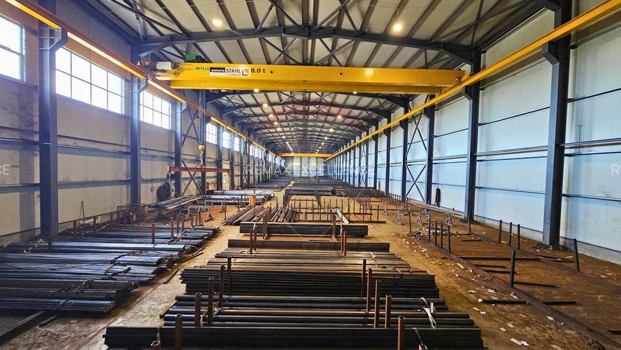 Complex industrial de vanzare – Aricestii Rahtivani, Prahova - 12007mp - 4